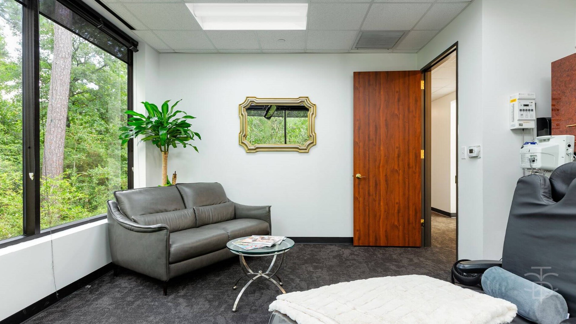calming environment of the pat